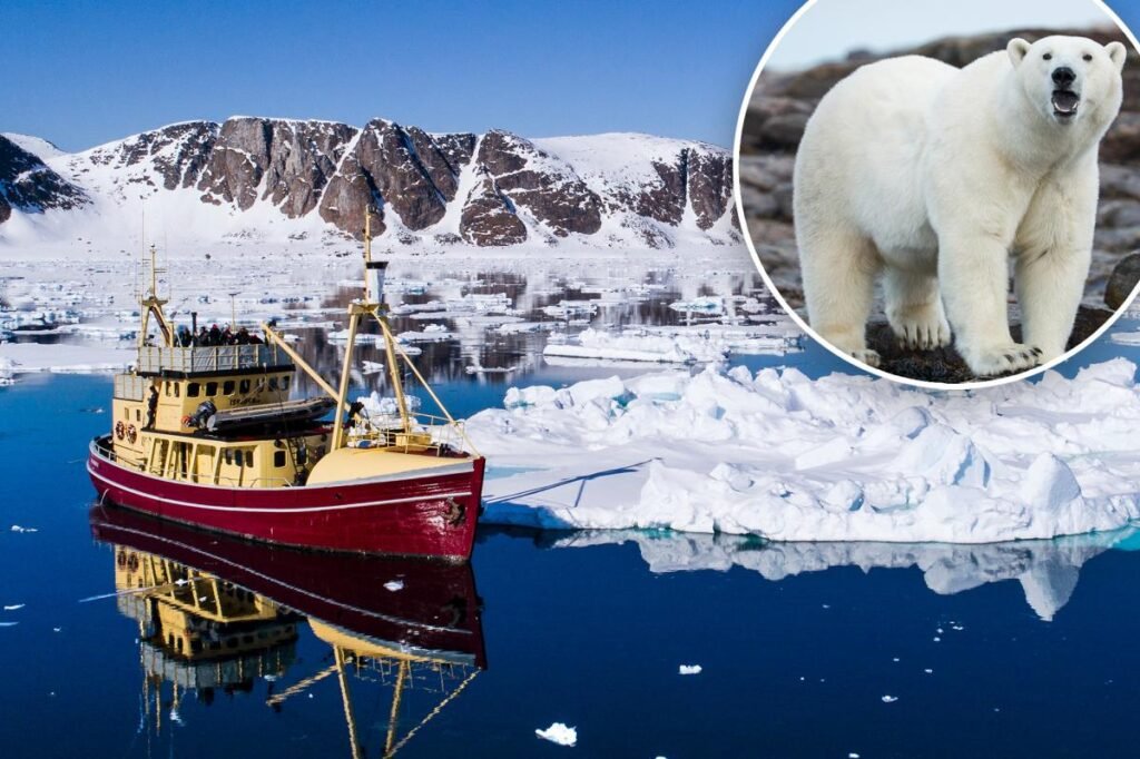 Boat operator fined over $5K for waking sleeping polar bear