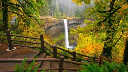 Man, 20, dies in ‘horrific accident’ after slipping from towering Oregon waterfall