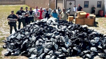 Georgia sheriff seizes 1,800 pounds of suspected black-market marijuana shipped from California