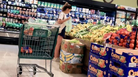 Consumer prices remained elevated in August ahead of Fed’s next meeting