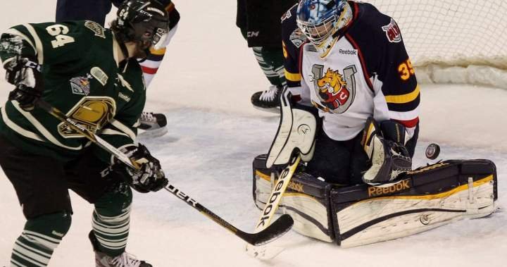 OHL approves Barrie Colts sale to Toronto-area businessman John Careri