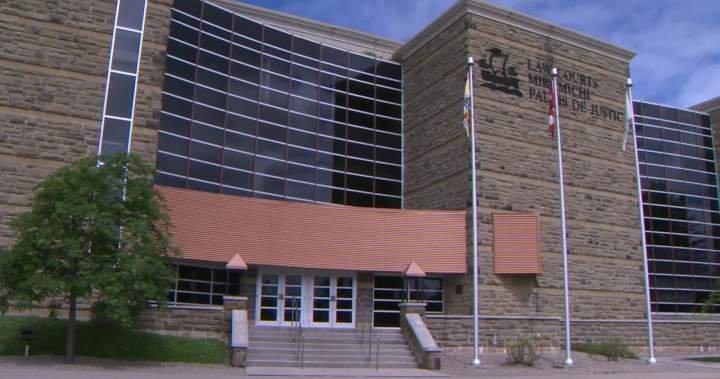 Complaint against New Brunswick lawyer’s use of AI part of growing trend: experts