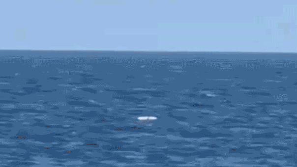 Ukraine pounds Black Sea Fleet’s ‘last major stronghold’ while Putin flexes naval power in Pacific