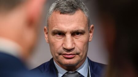 Kyiv mayor Vitali Klitschko calls for political unity in Ukraine