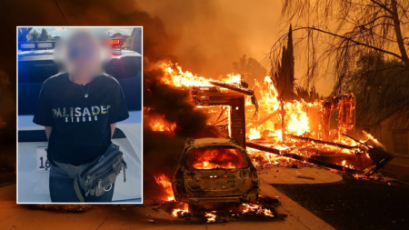 Woman accused of looting from home in Palisades Fire area while wearing 'Palisades Strong' shirt