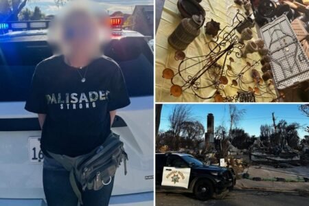 ‘Activist’ in ‘Palisades Strong’ T-shirt busted looting antiques from home destroyed by wildfire: police