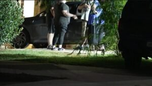 Man assaulted in Armadale; Perth house prices rise again