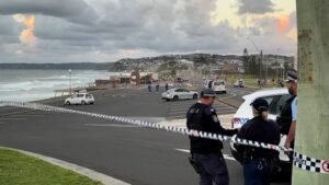NSW Police searching for man after teen killed in drive-by shooting