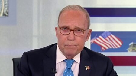 LARRY KUDLOW: The 'falling GDP' panic is more fake news