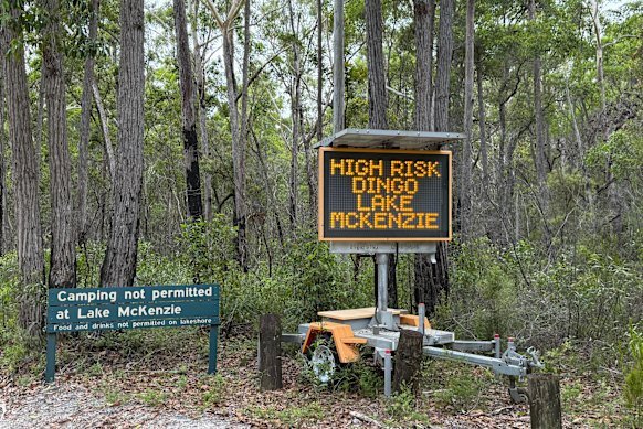 A sign at the entrance to Lake McKenzie, one of the most popular tourist spots on K’gari. 