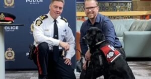 Edmonton Police Service has its 1st Operational Stress Intervention Dog