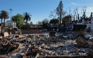 LA wildfires alter livelihoods in communities: 'We left with nothing'