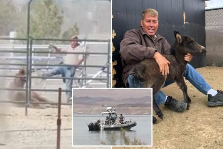 Las Vegas veterinarian who filmed kicking horse in the face found dead in Lake Mead — weeks after disappearance