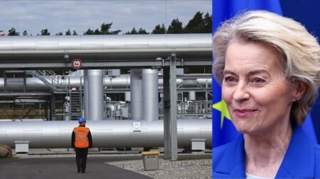 European Commission to wean off Russian oil, gas imports after Trump criticism