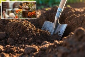 NYC man discovers human remains while gardening: cops