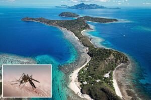 Travel warning issued as popular tourist spot battles deadly virus: ‘Half the world’s population now at risk’