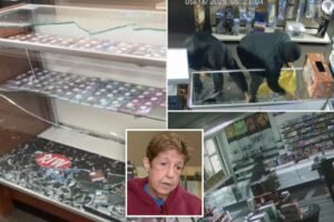 Pair of hammer-wielding, masked crooks steal thousands of dollars worth of Pokémon cards from 2 stores