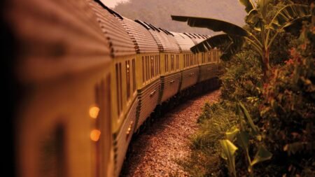 I travelled through the rainforest on Malaysia’s last sleeper train