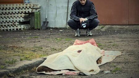 Russia deploys 273 drones in biggest attack on Ukraine yet