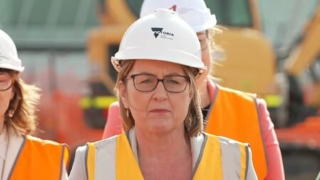 Allan declares Labor’s federal win an emphatic endorsement
