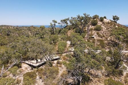 Subiaco, Bunbury developments take out WA’s top landscape awards