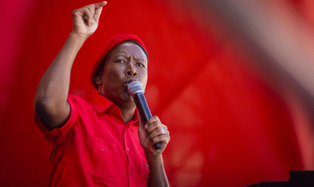 Who is Julius Malema, the South African politician behind 'kill the farmer' chant?
