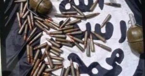 Toronto ISIS financier pleads guilty