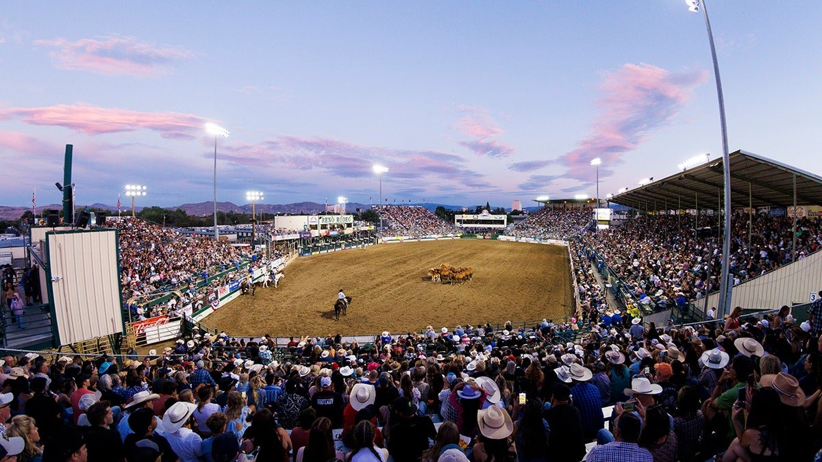 Rodeo