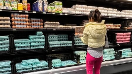 Price of eggs have dropped 61% since Trump took office