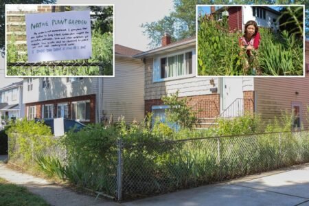 Long Islander taken to court over 6-foot-tall natural garden: ‘I can’t plant some good flowers?’