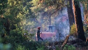 Floods hit Romania as wildfires rage in Turkey and Albania