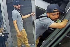 Good Samaritan bashed in head with baseball bat trying to break up NYC brawl: sources