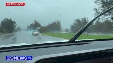 Alleged drunk driver caught driving on wrong side of the road