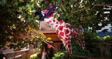 When moose took over Toronto: Artists reflect on city art project, 25 years later