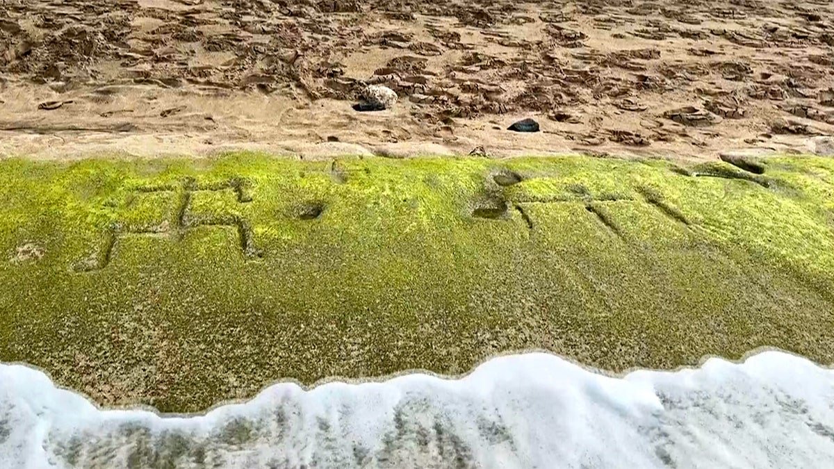 Ancient Hawaiian petroglyphs on a beach are visible again with changing tides and shifting sands