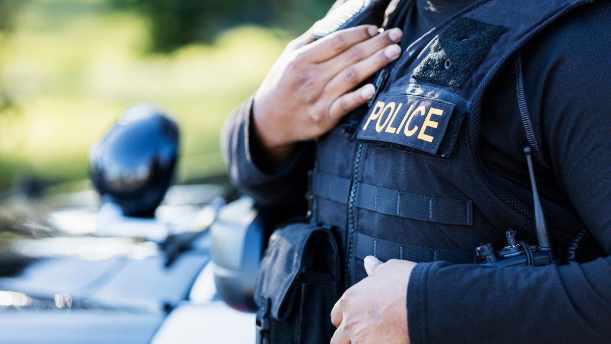 cop in uniform, closeup on vest