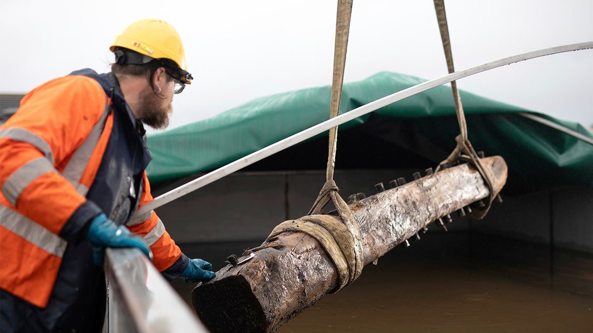 Saunders from Wessex Archaeology supervises the Sanday Wreck timbers as they are placed in a freshwater tank to preserve them