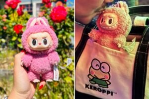 Heartbroken San Francisco woman posts missing flyer for pink Labubu: ‘I regret getting too lit’