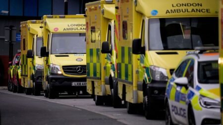 UK ninja sword ban begins with bladed weapons surrendered in amnesty