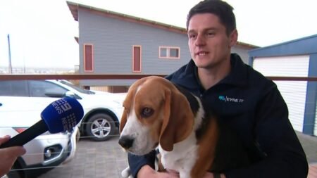 Walker on moment his dog stumbled across remains of alleged Beauty and the Geek murder victim
