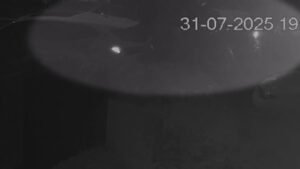 CCTV of moments after sacked sports reporter’s alleged drunken crash
