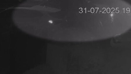 CCTV of moments after sacked sports reporter’s alleged drunken crash