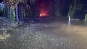 Search under way for NSW woman missing in floodwaters