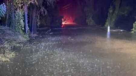 Search under way for NSW woman missing in floodwaters
