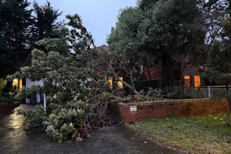 Woman missing in floodwaters as wild weather rips across NSW
