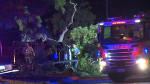Hundreds of Perth homes left without electricity for hours after horror crash