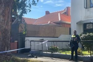 Six arrested after gunshot, screams heard in altercation