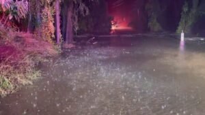 Search for woman swept away in NSW flood