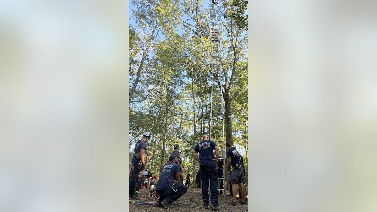 Nashville fire sets up ladder for rescue