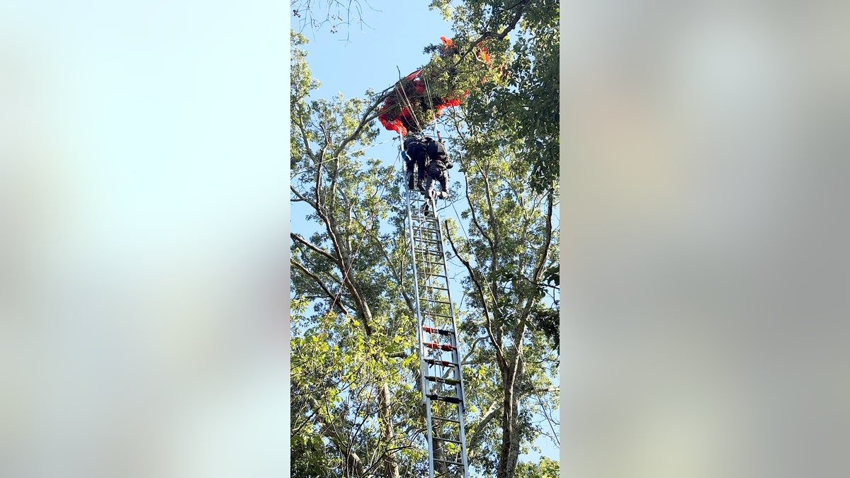 Nashville skydiving student stuck on tree